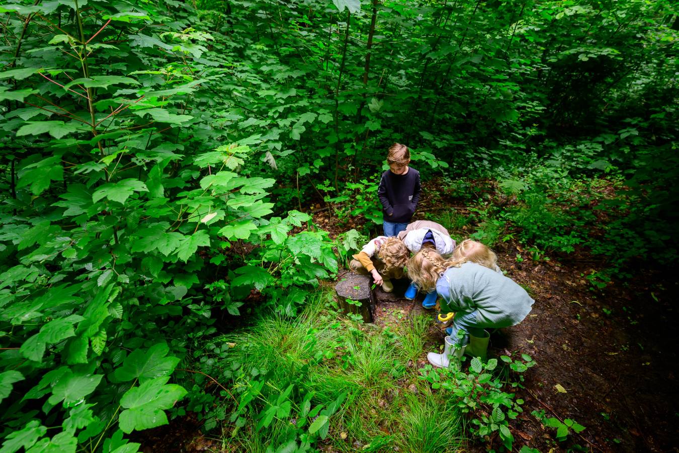 Voorlezen en Natuurexcursie